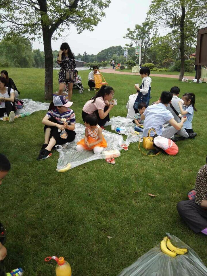 麻将胡了模拟器pg下载-麻将胡了模拟器pg下载2025最新版本