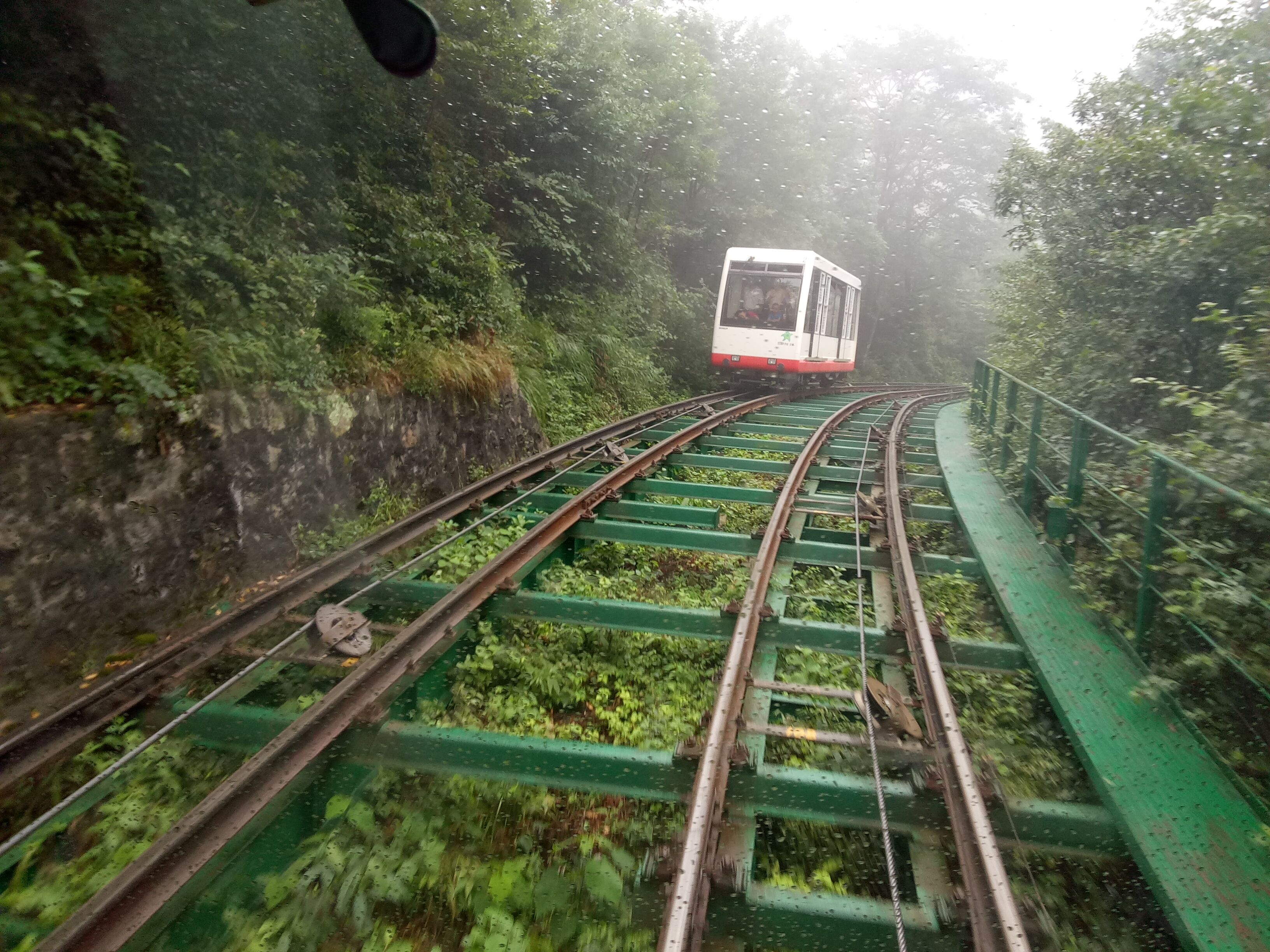 麻将胡了模拟器pg下载-麻将胡了模拟器pg下载2025最新版本