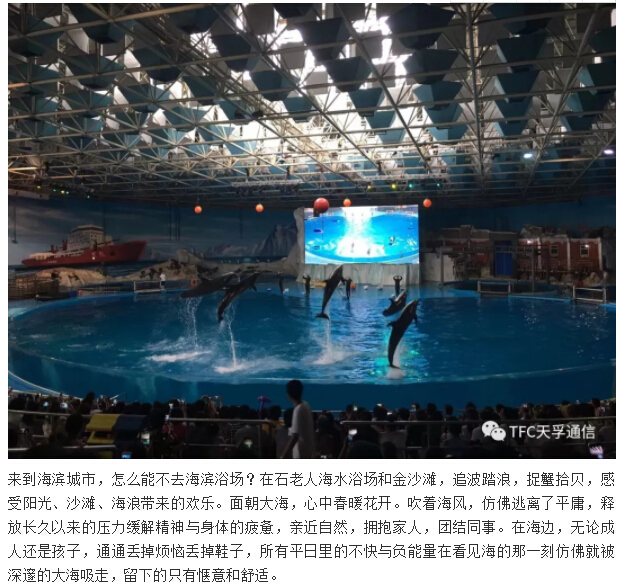 麻将胡了模拟器pg下载-麻将胡了模拟器pg下载2025最新版本