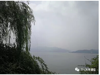 麻将胡了模拟器pg下载-麻将胡了模拟器pg下载2025最新版本